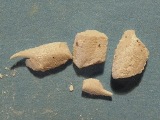 Krabbe